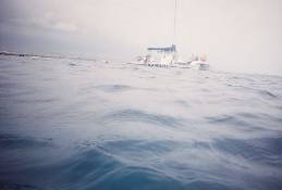 05_386745-R1-006-1A_002.jpg (23340 bytes)