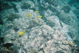 05_386745-R1-020-8A_009.jpg (64372 bytes)